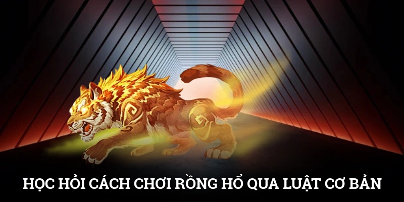 Cách Chơi Rồng Hổ SUNWIN Cực Nhanh, Ăn Tiền Siêu Tốc 3 Học hỏi cách chơi Rồng Hổ qua luật cơ bản