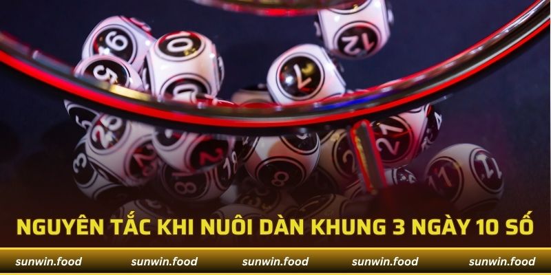 Bật Mí Cách Soi Cầu Dàn Đề 10 Số Khung 3 Ngày Trúng Dễ 4 Nguyên tắc cơ bản khi nuôi dàn khung 3 ngày 10 số