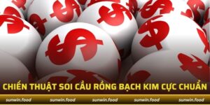 Soi cầu rồng bạch kim