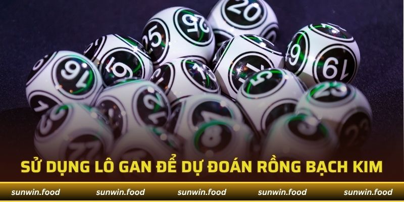Sử dụng lô gan để dự đoán rồng bạch kim